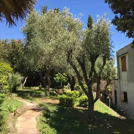别墅 Circeo, Con Piscina E Scesa Al Mare 圣费利切-奇尔切奥